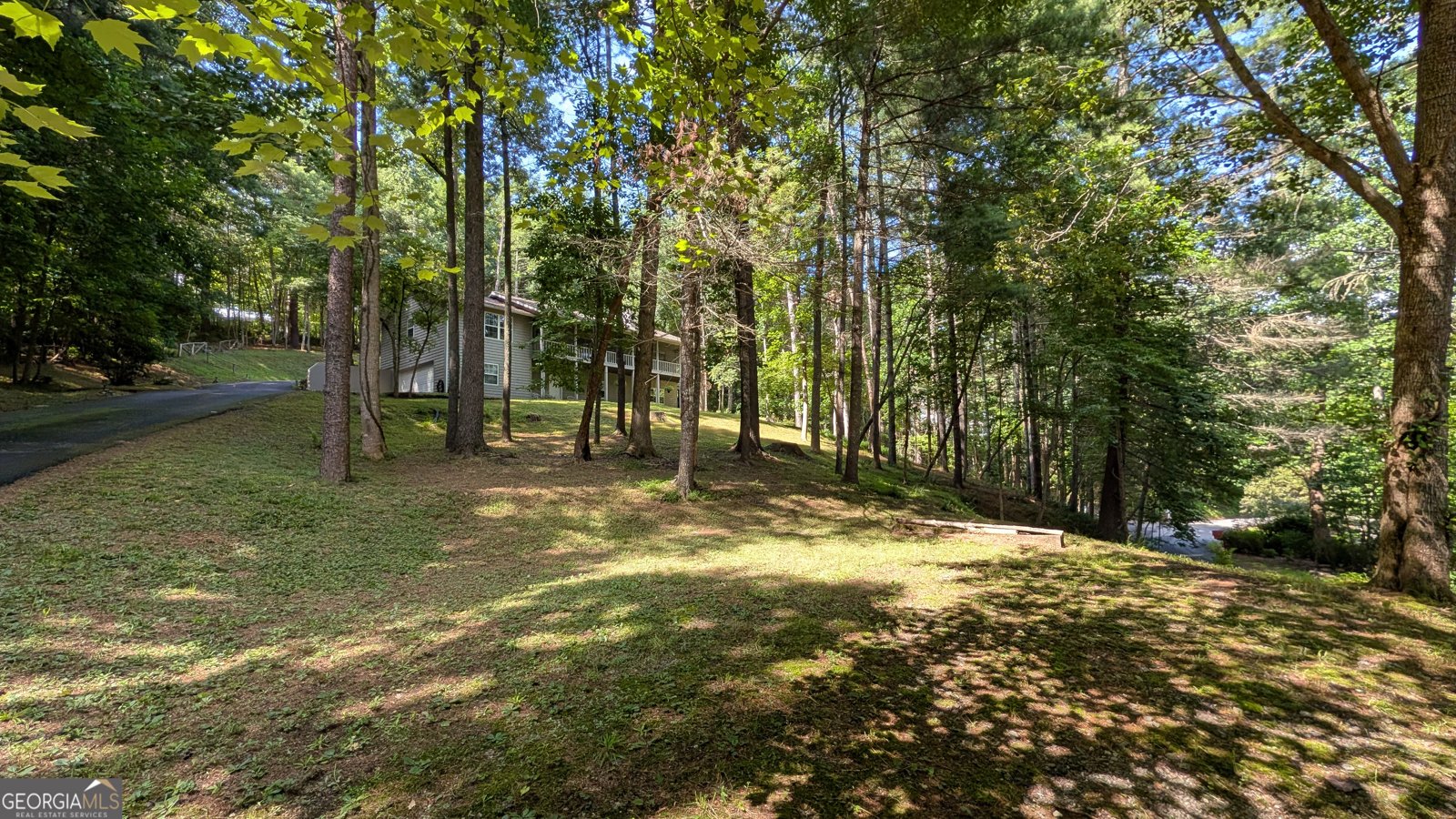 5302 Summer Wood Lane Young Harris - Photo 53