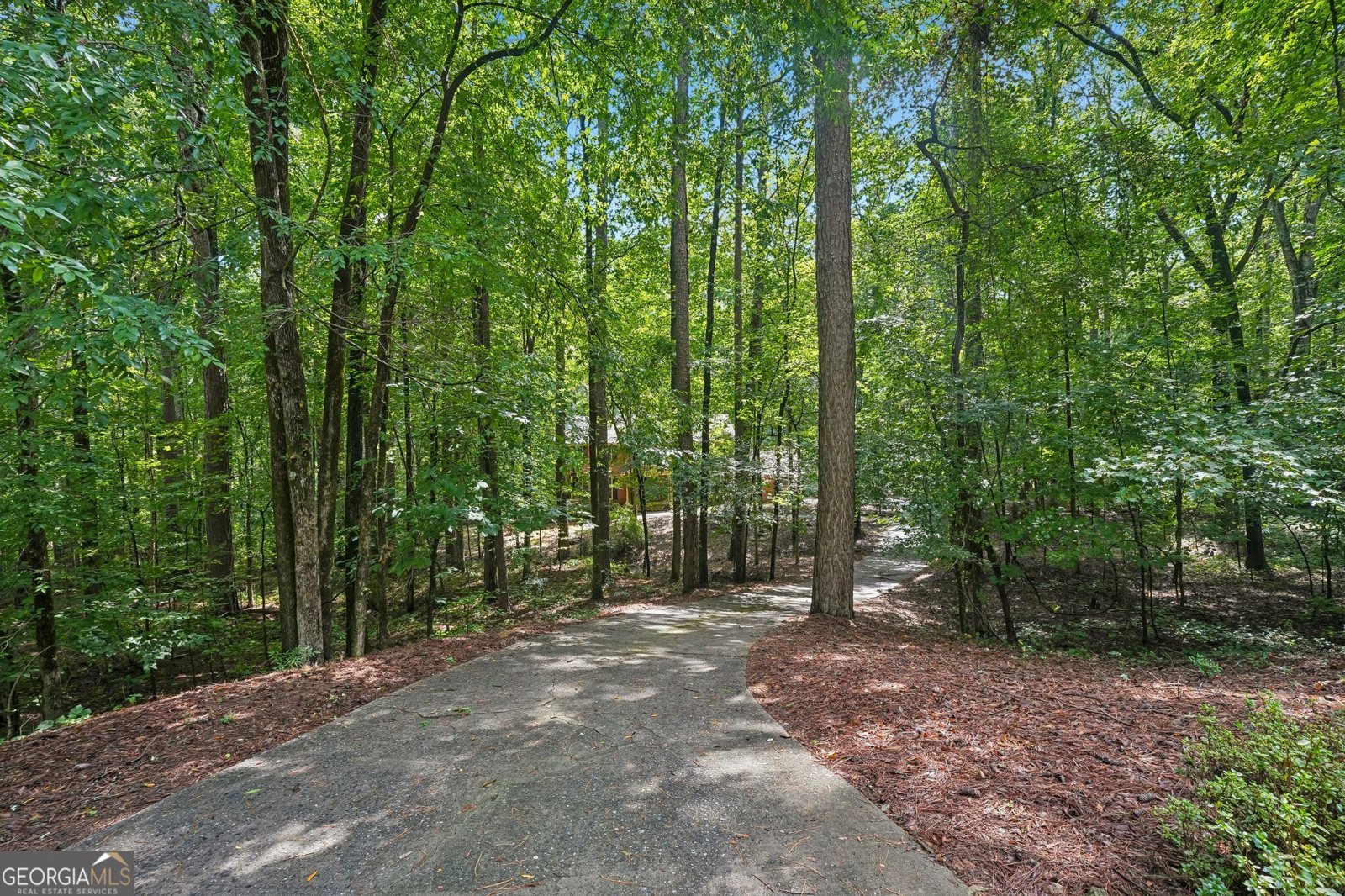 155 Forest Hall Lane Fayetteville - Photo 95