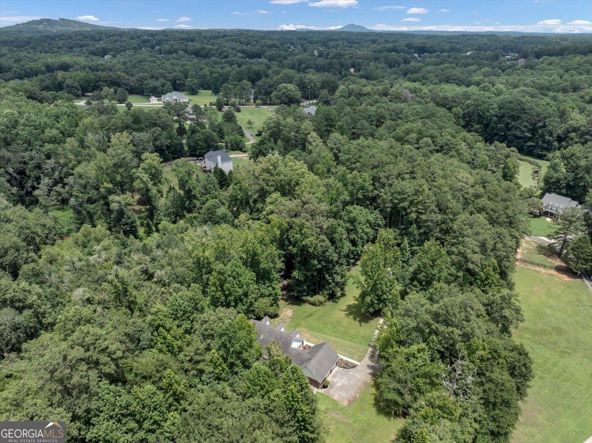 5555 Wright Road Powder Springs - Photo 72