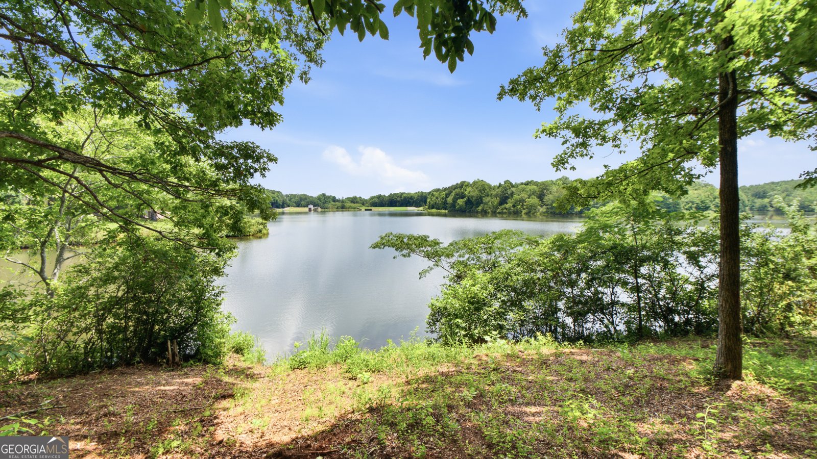 1505 Lake Forest Lane McDonough - Photo 12