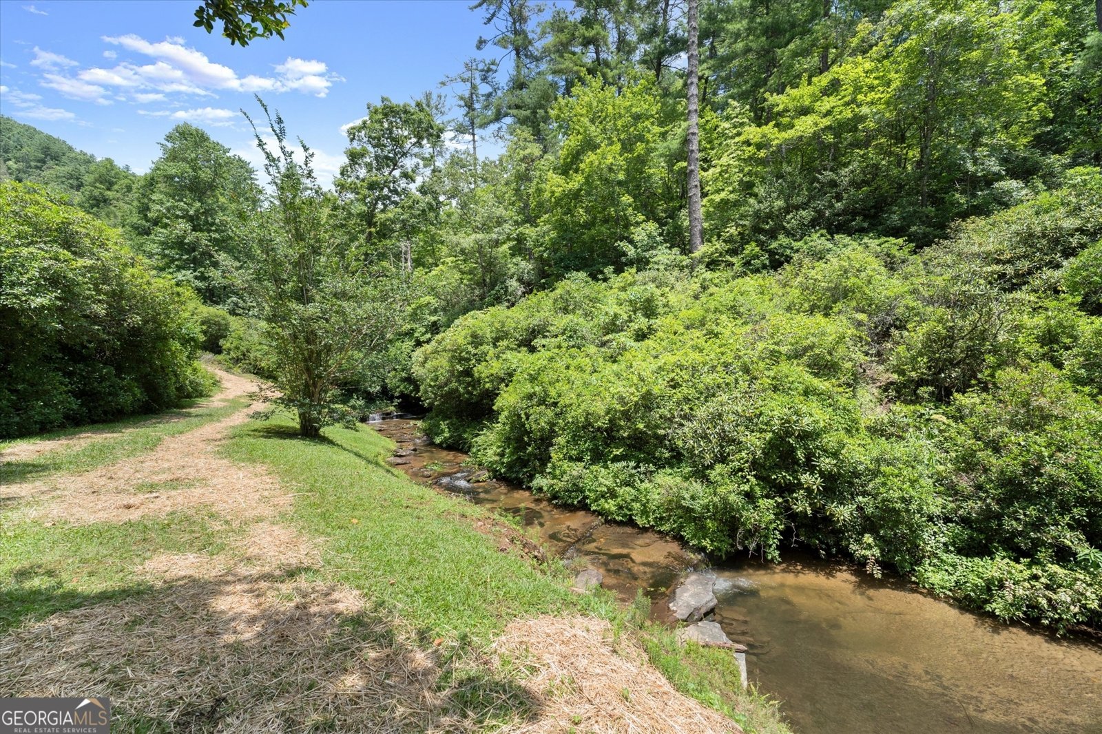 2791 Seed Lake Road Lakemont - Photo 10