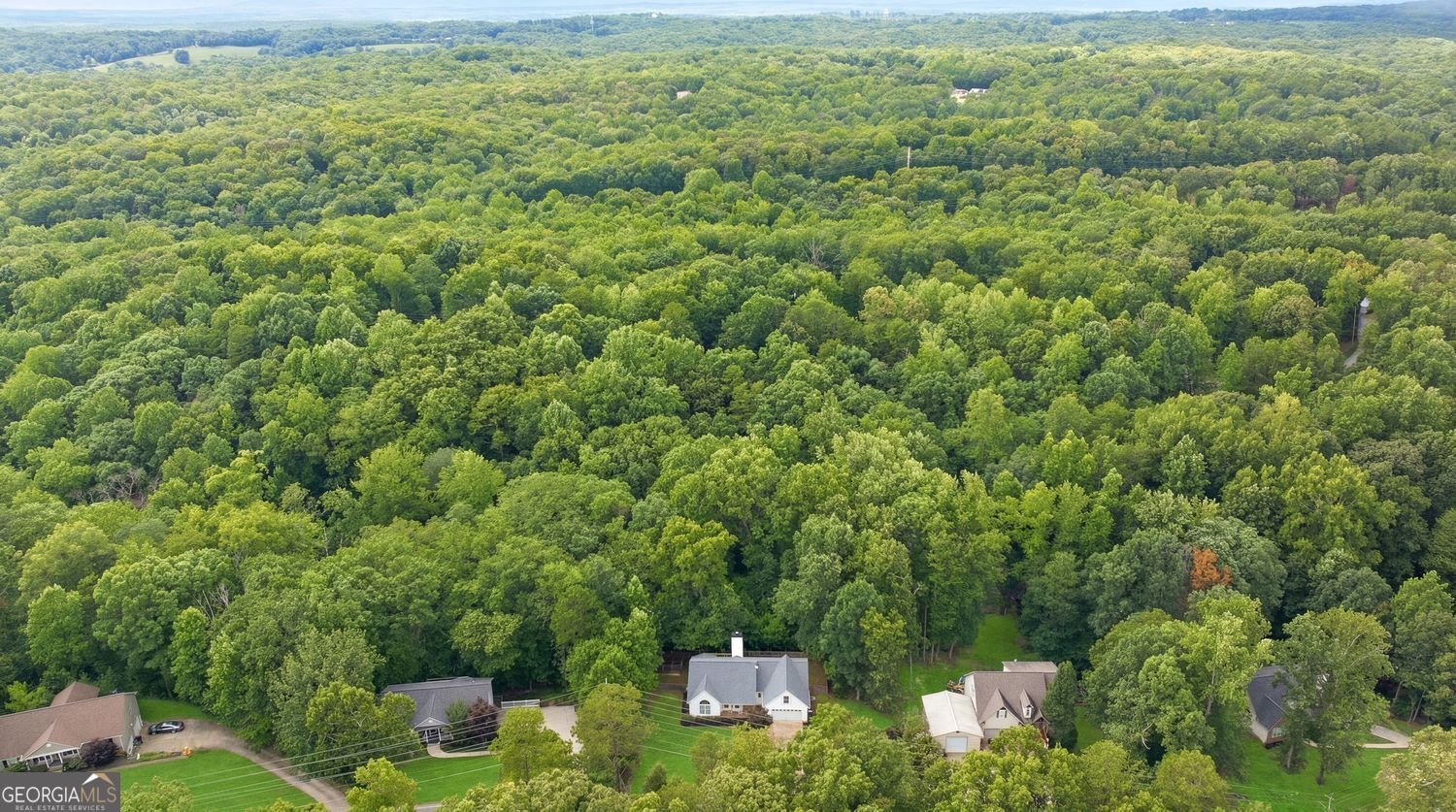 200 Hugh Stowers Road Dawsonville - Photo 35