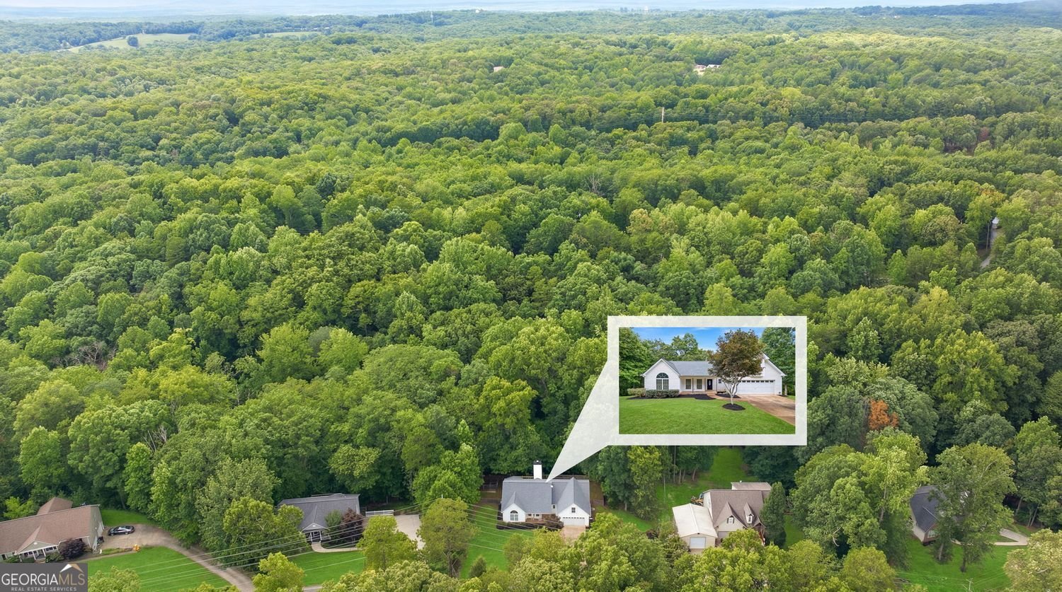 200 Hugh Stowers Road Dawsonville - Photo 36