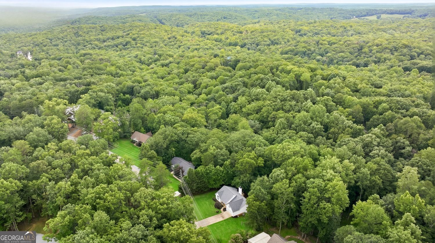 200 Hugh Stowers Road Dawsonville - Photo 37
