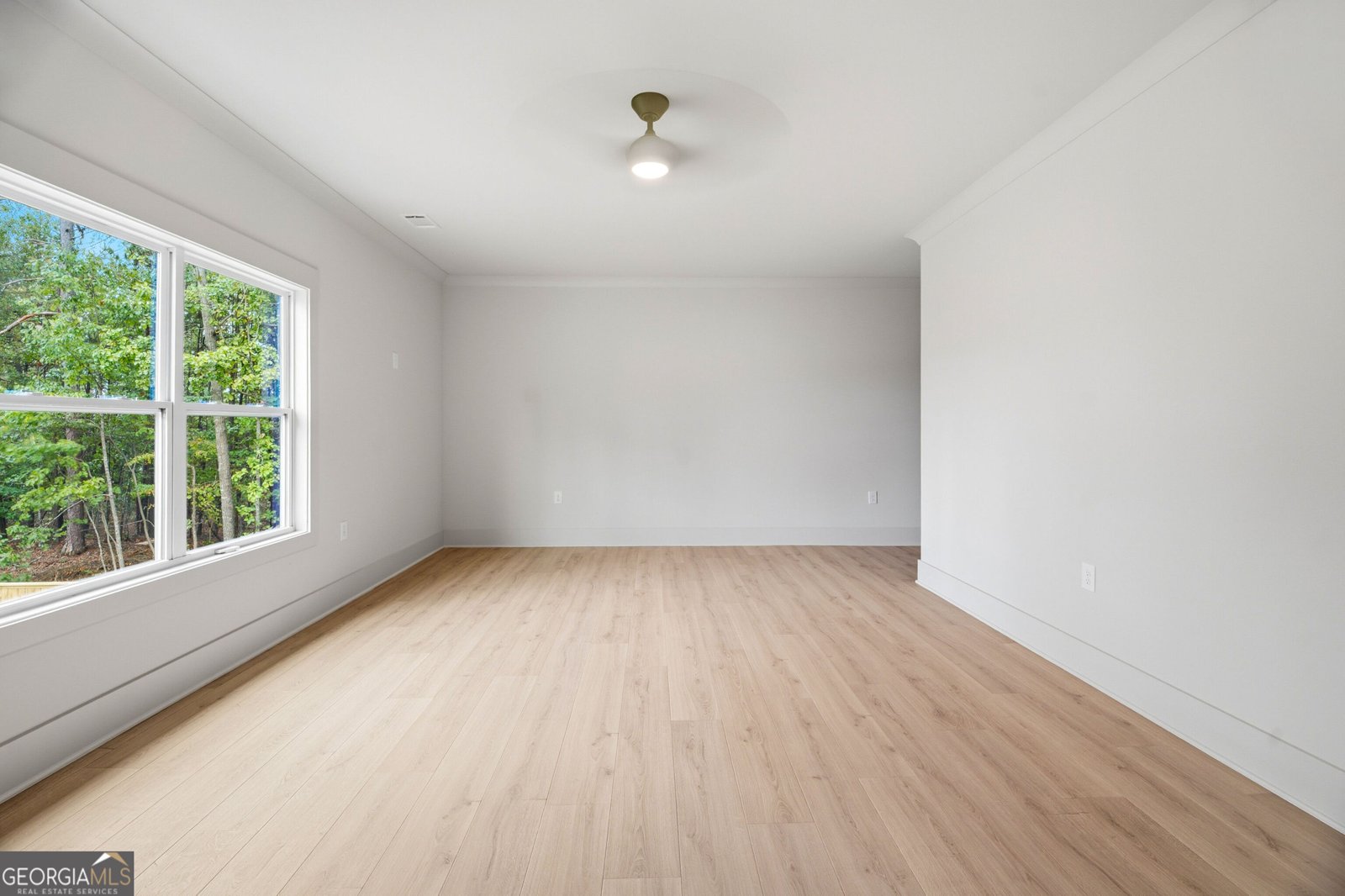 360 Smokey Road Buford - Photo 48