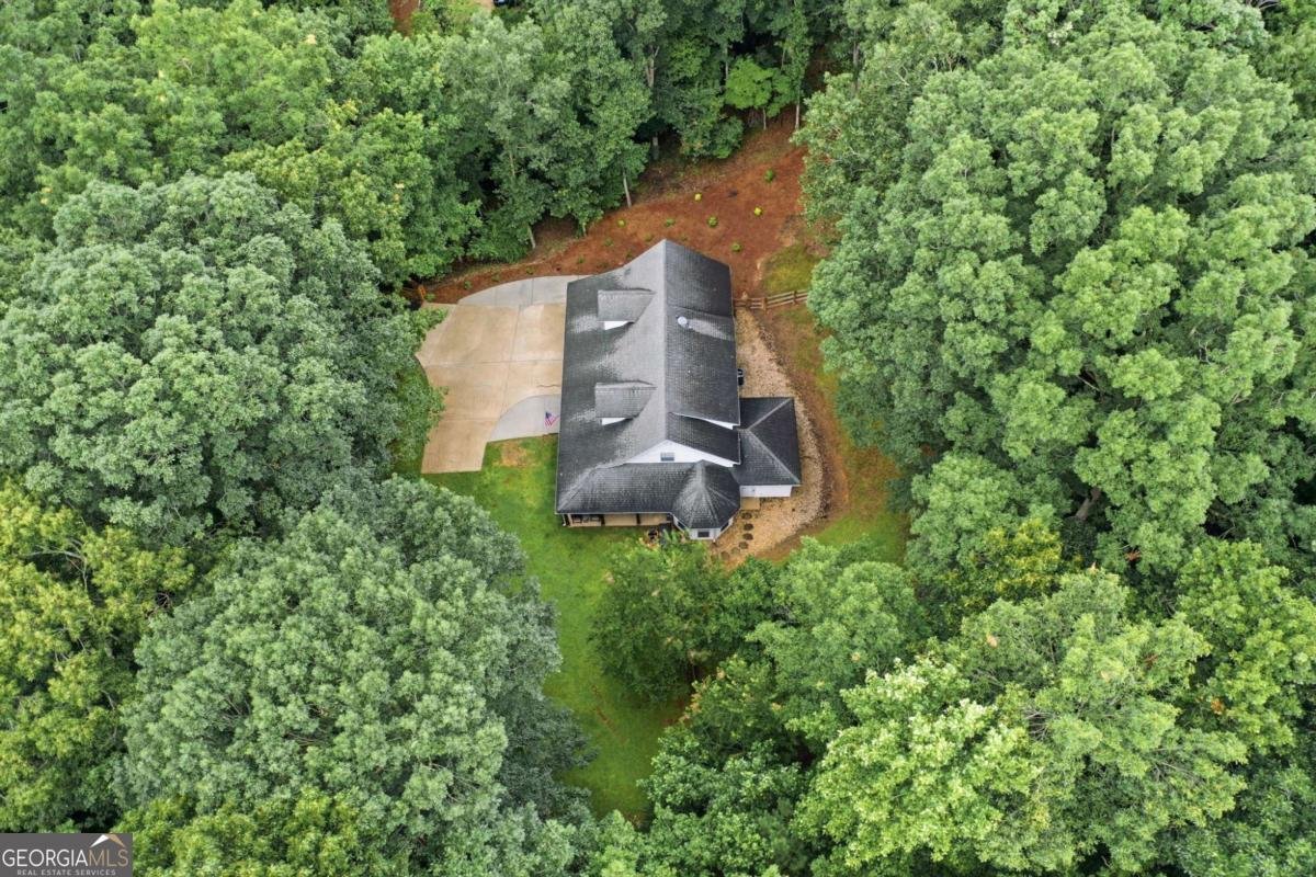 758 Mayapple Glen Dawsonville - Photo 40