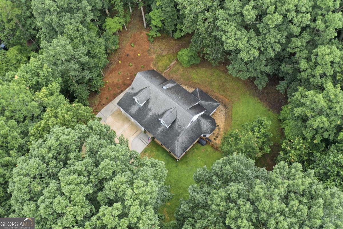 758 Mayapple Glen Dawsonville - Photo 43