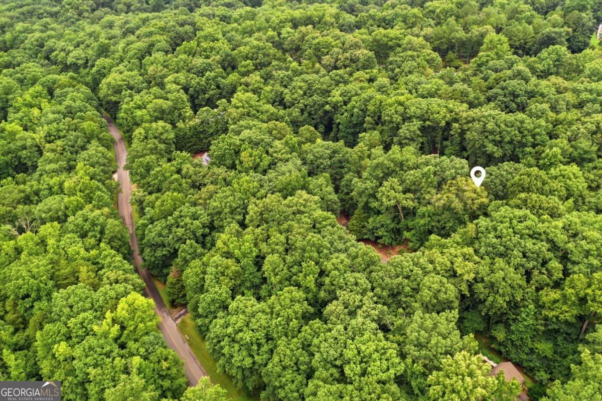 758 Mayapple Glen Dawsonville - Photo 49