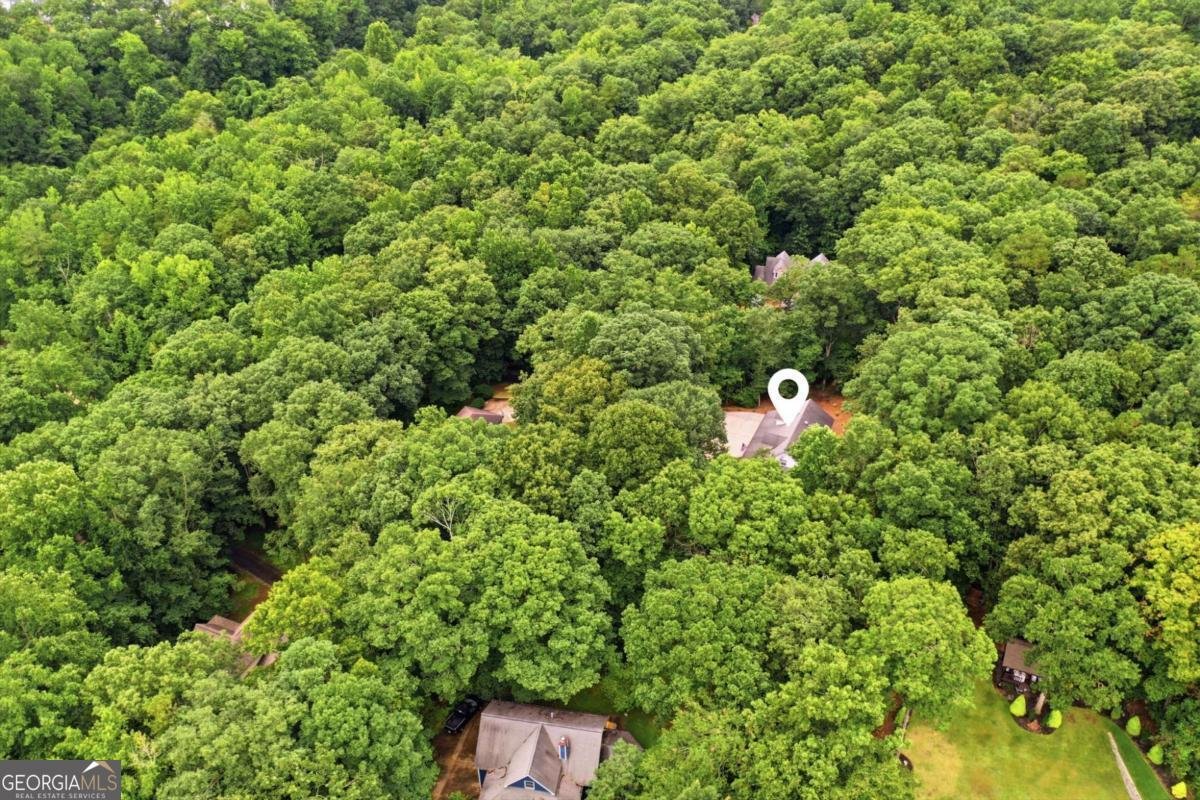 758 Mayapple Glen Dawsonville - Photo 51