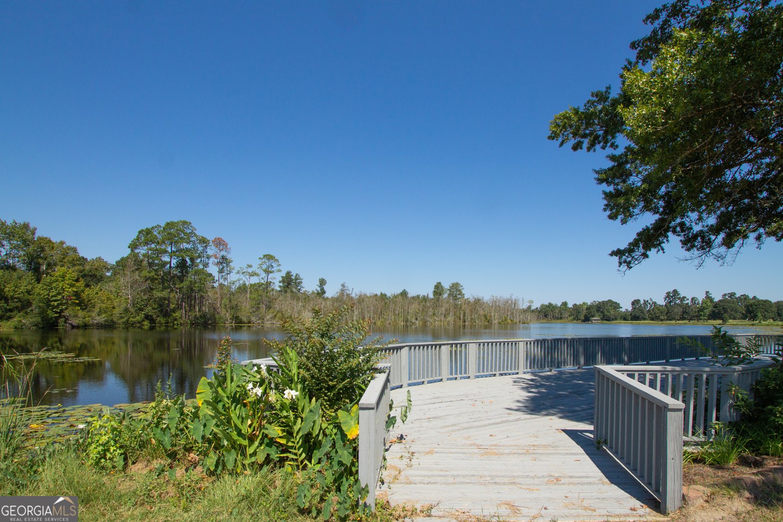 LOT 20 Windemere Drive Statesboro - Photo 6