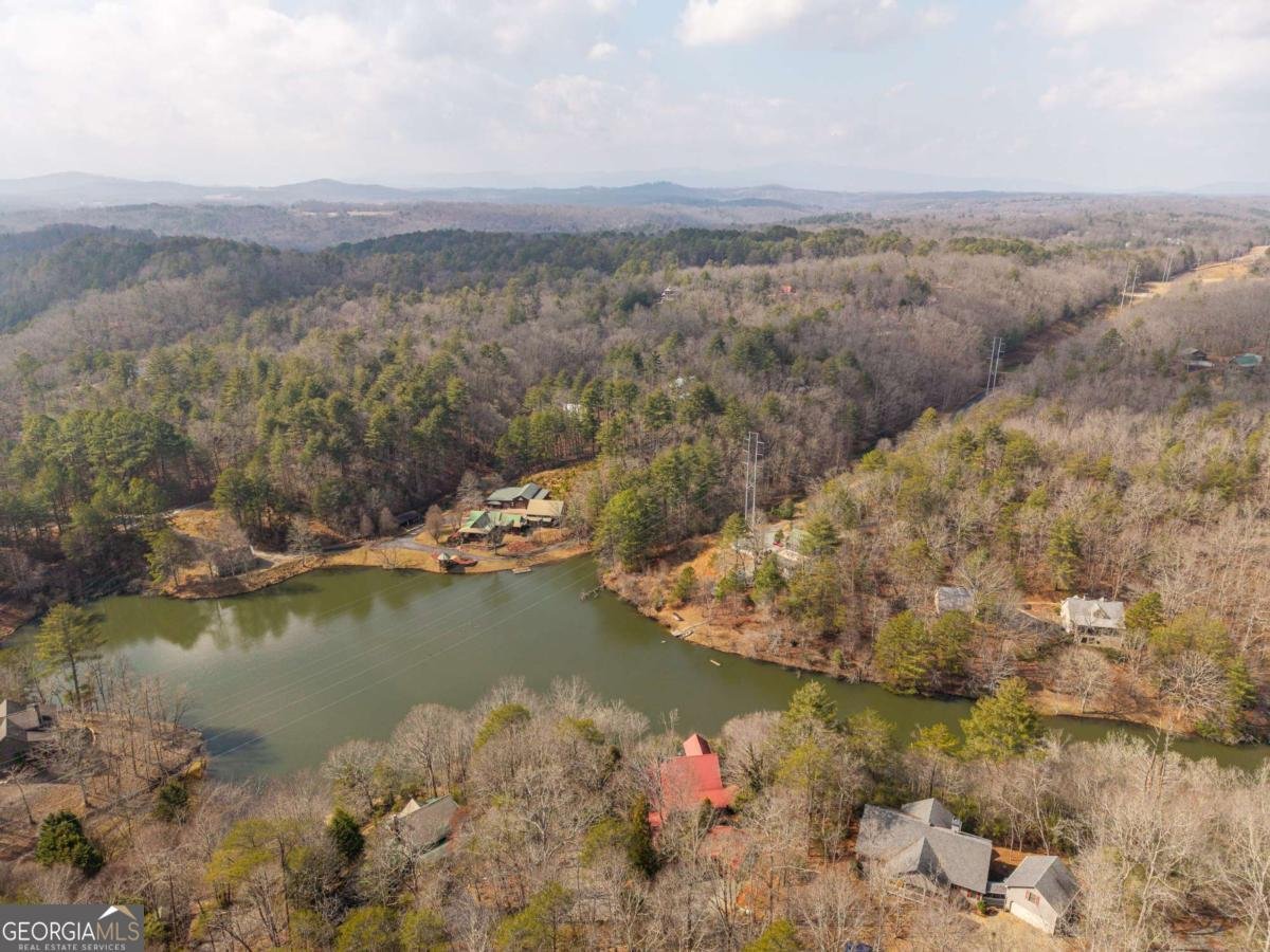 246 Adams Circle Mineral Bluff - Photo 17