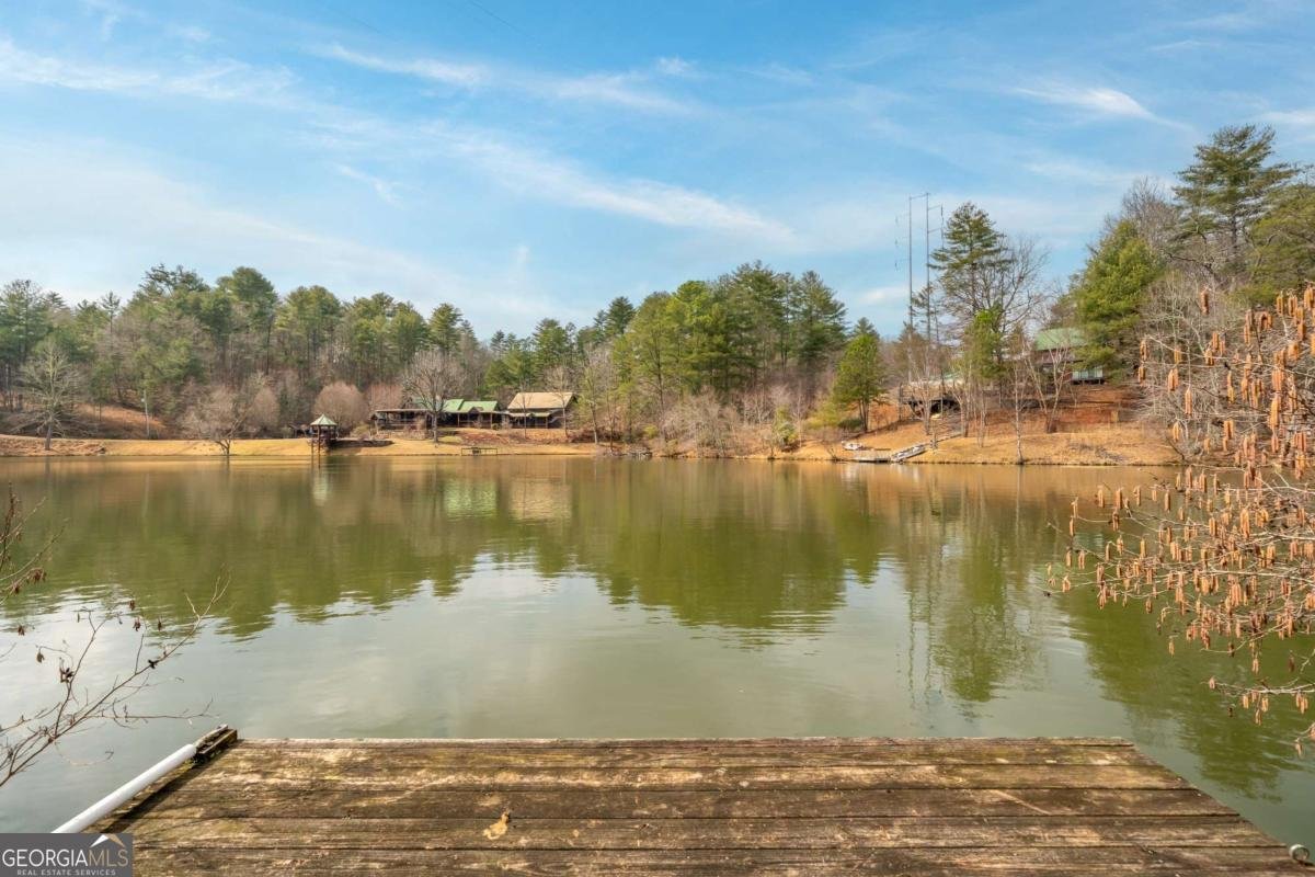 246 Adams Circle Mineral Bluff - Photo 91