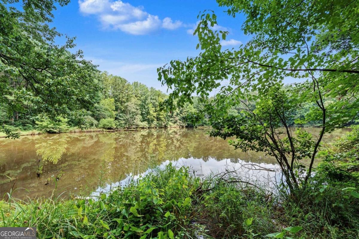 107 Lake Latimer Cove Kennesaw - Photo 39