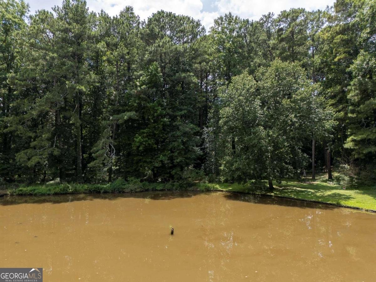 107 Lake Latimer Cove Kennesaw - Photo 45
