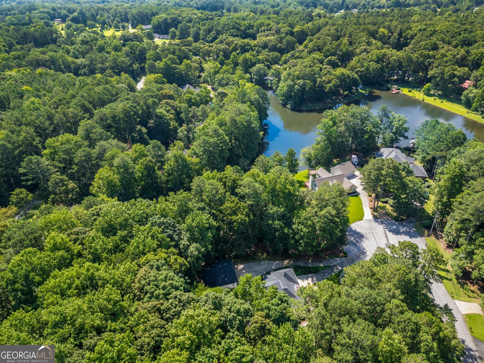 3970 Governors Circle Loganville - Photo 41