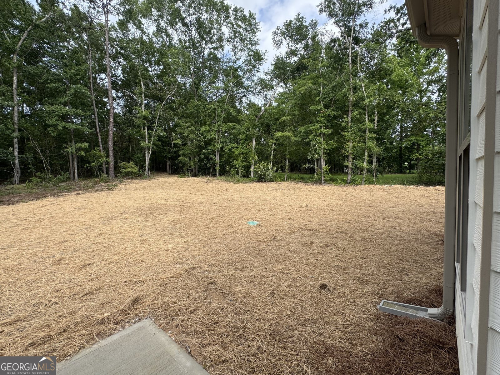 176 Country World Drive Macon - Photo 26