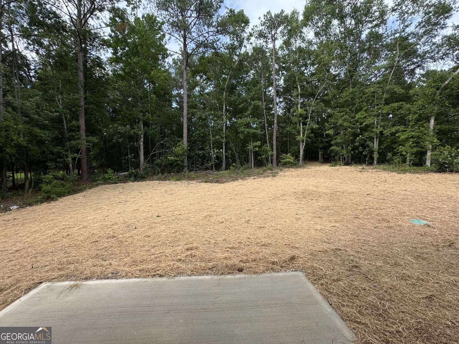 176 Country World Drive Macon - Photo 28