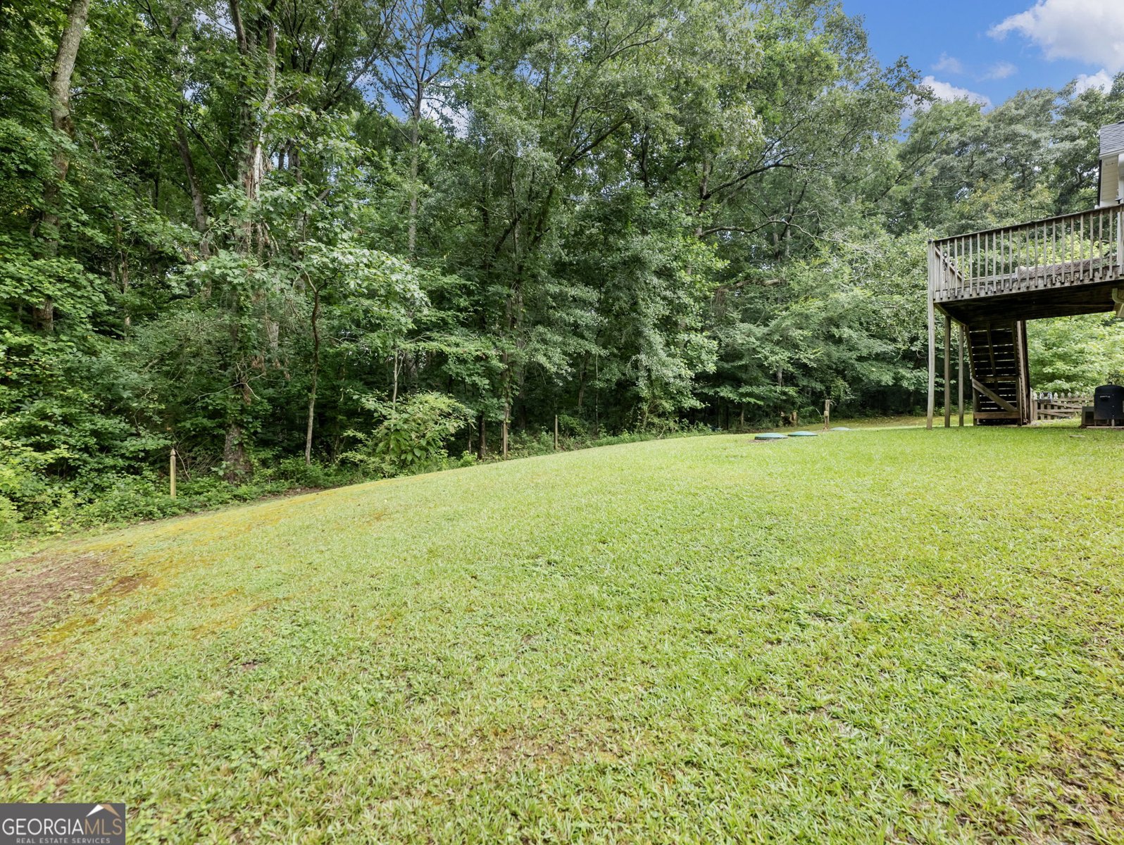 212 Cobblestone Lane McDonough - Photo 49