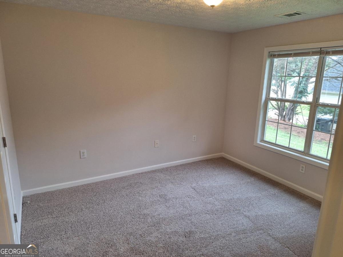 20 Spring Valley Trace Covington - Photo 19