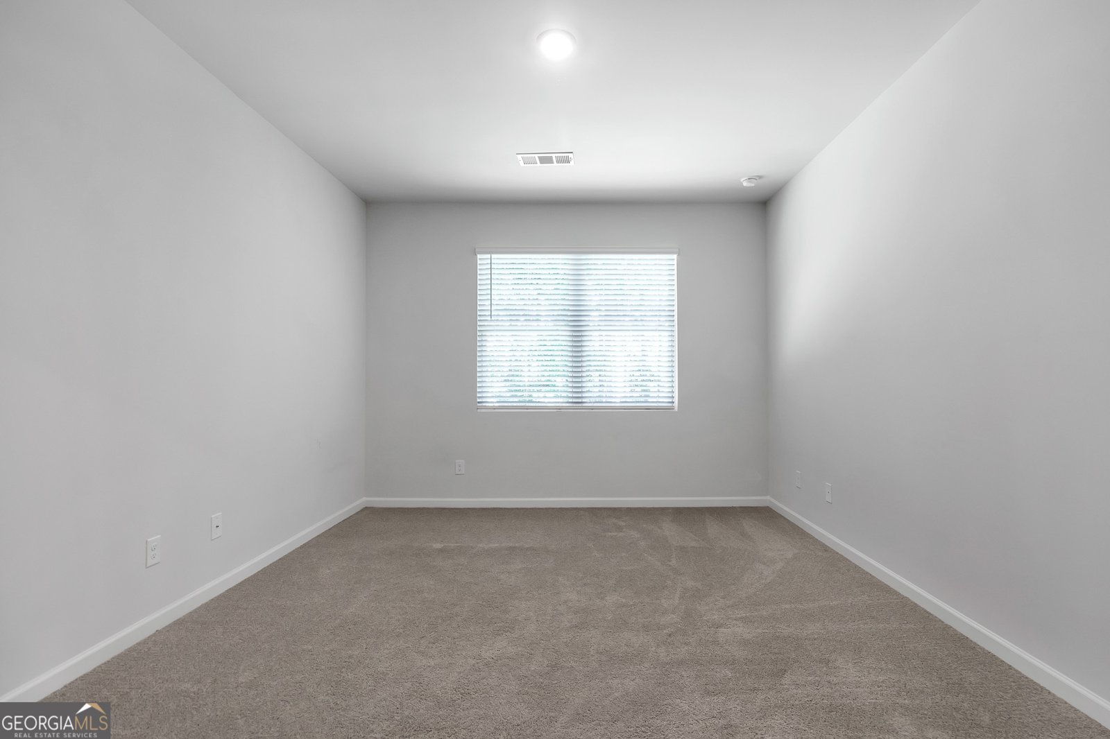 412 Barnwood Lane Dawsonville - Photo 23