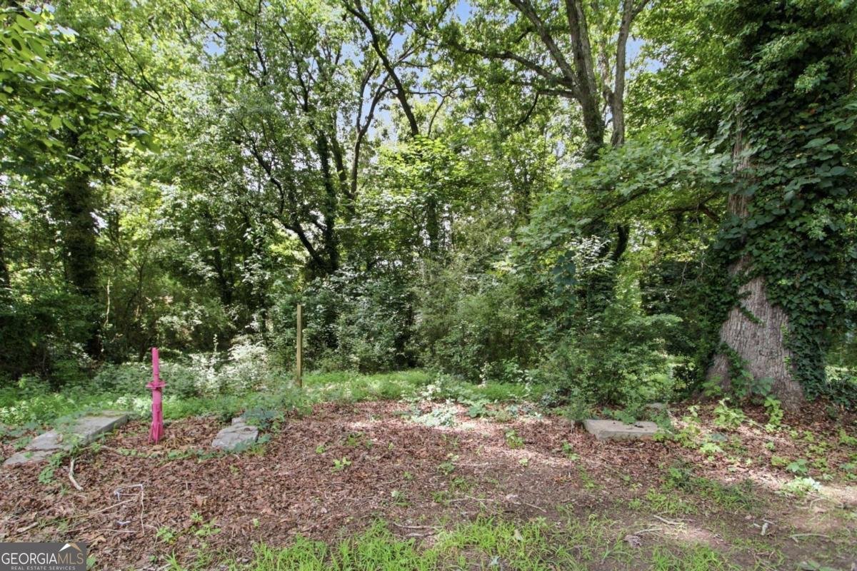 887 Ellis Road Stone Mountain - Photo 31
