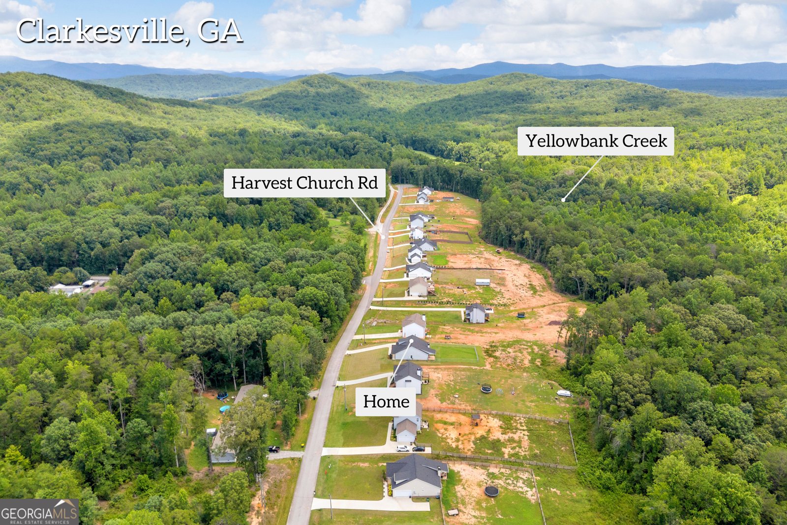 358 Harvest Church Road Clarkesville - Photo 53