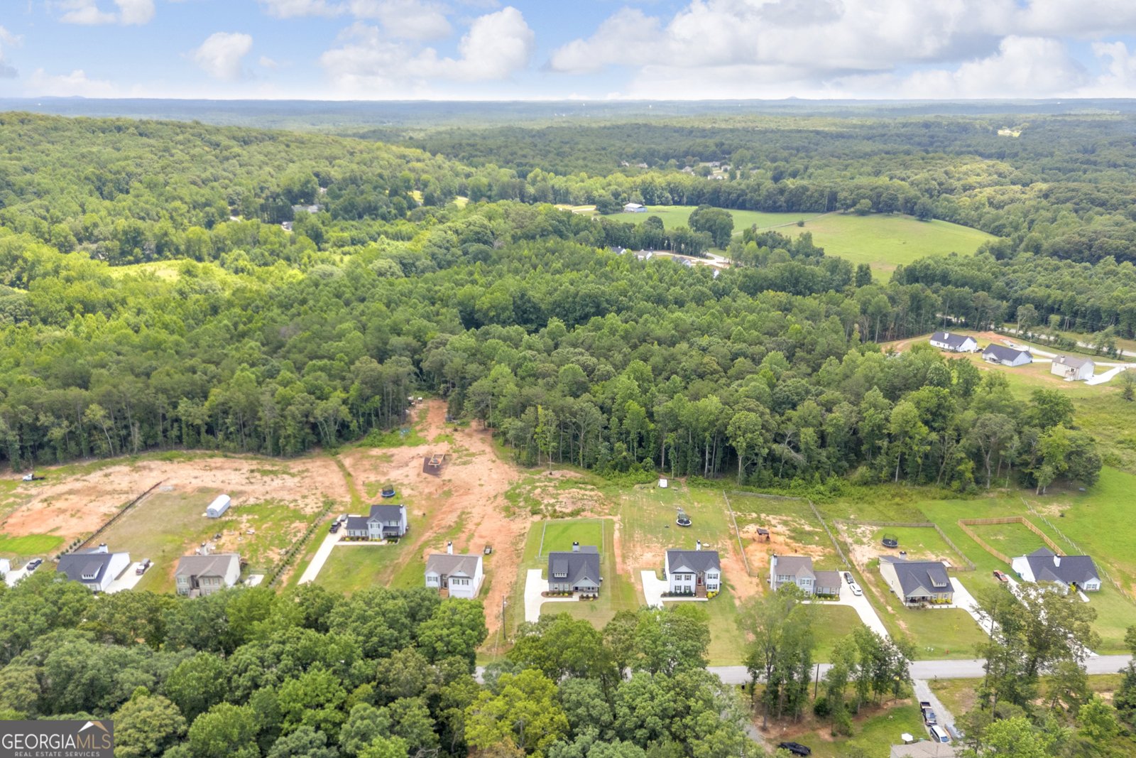 358 Harvest Church Road Clarkesville - Photo 58