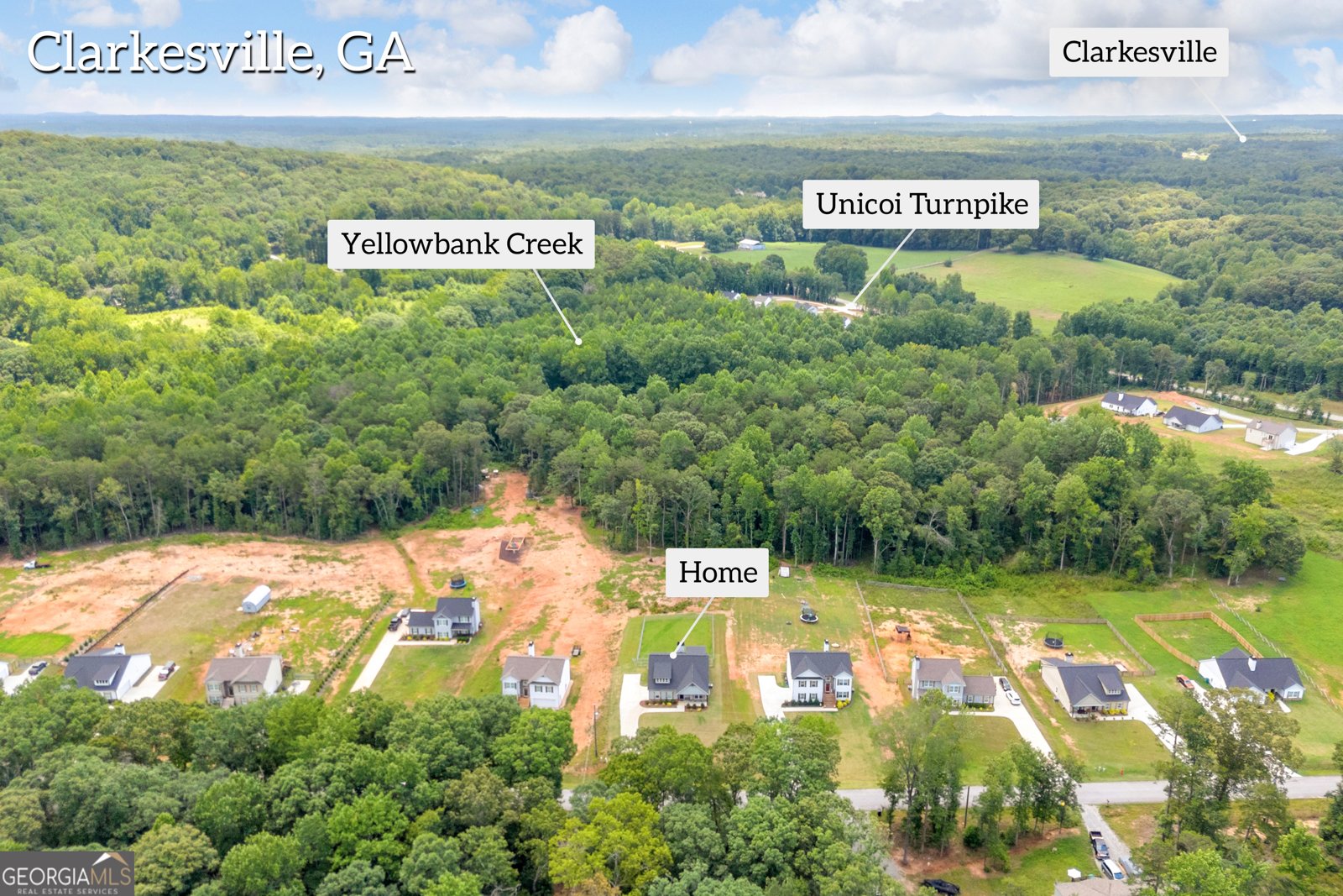 358 Harvest Church Road Clarkesville - Photo 59