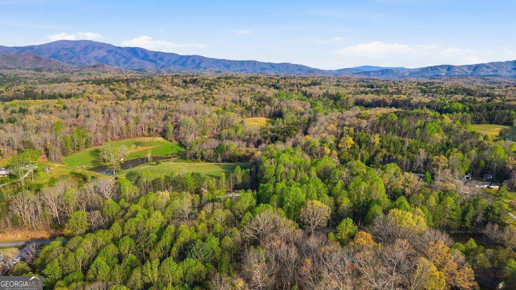 1843 Old Mobile Road Mccaysville - Photo 32