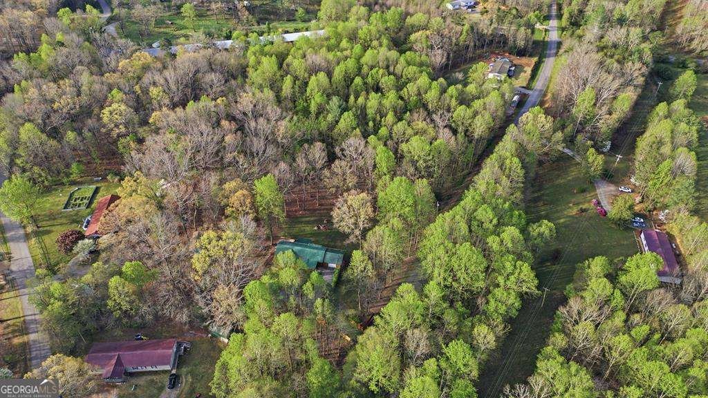 1843 Old Mobile Road Mccaysville - Photo 33