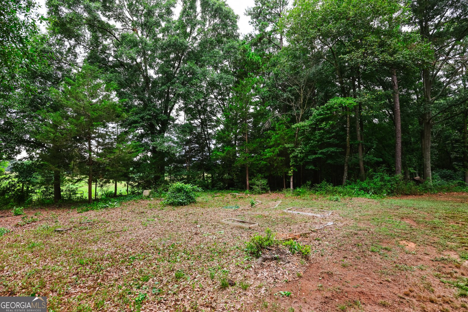 1985 Fork Creek Road Bowman - Photo 21