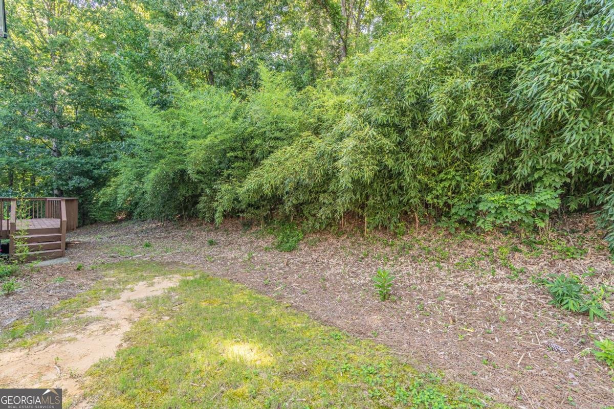 3763 Terrace Hedge Court Dacula - Photo 29