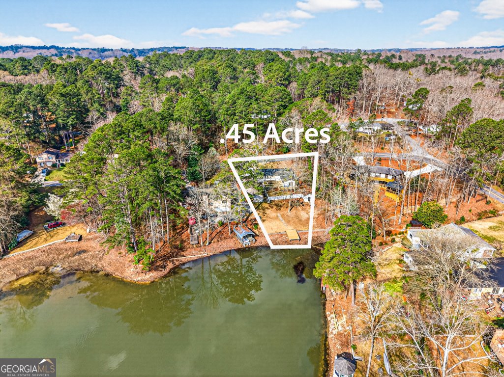 2439 Lakeshore Drive Conyers - Photo 51