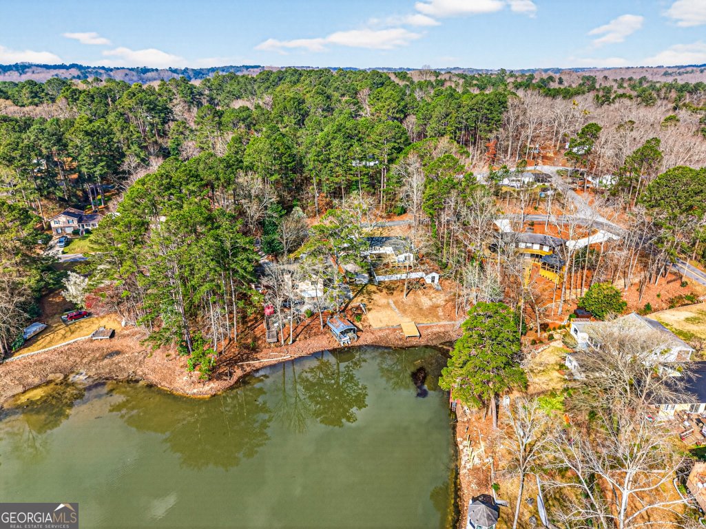 2439 Lakeshore Drive Conyers - Photo 81