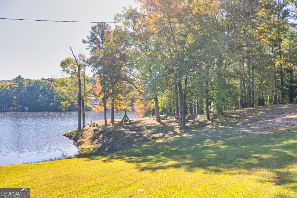 2439 Lakeshore Drive Conyers - Photo 99
