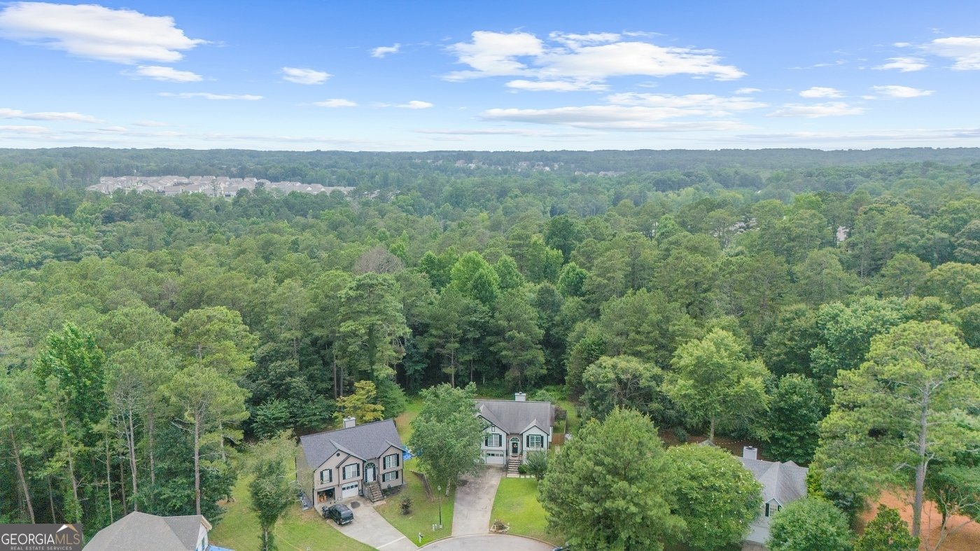 1605 Watson Ridge Trail Lawrenceville - Photo 61