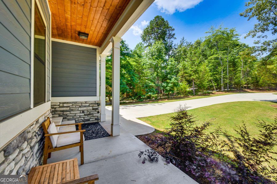 224 Seraph Pointe Lavonia - Photo 11