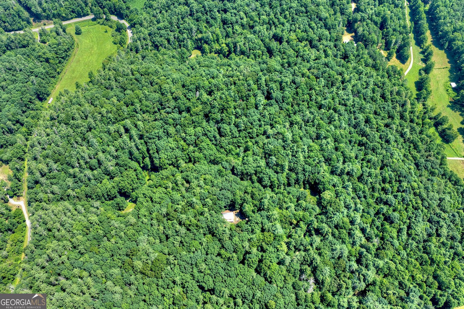 600 Conasauga Road Ellijay - Photo 54