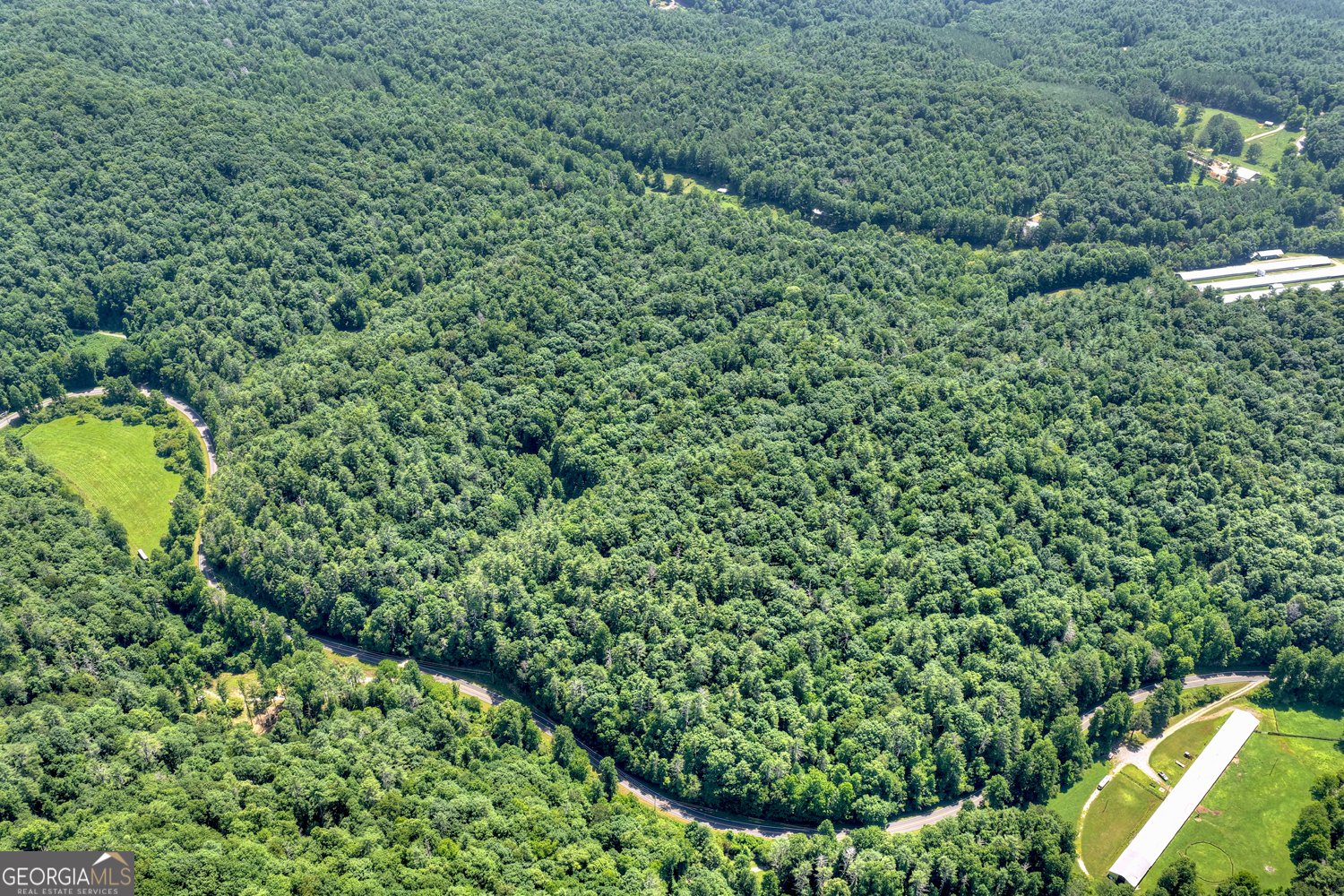 600 Conasauga Road Ellijay - Photo 55