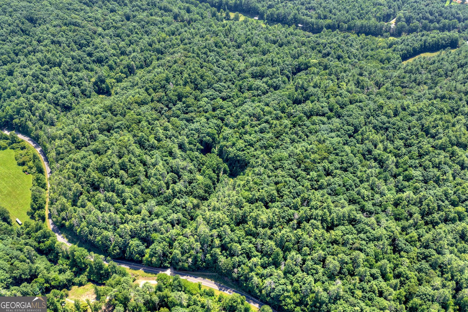 600 Conasauga Road Ellijay - Photo 56