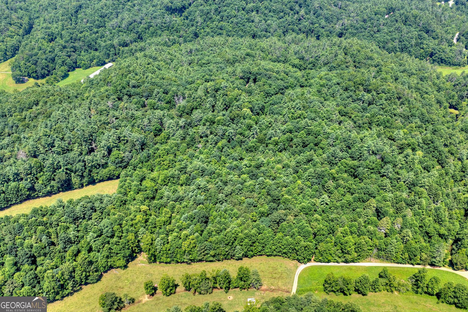600 Conasauga Road Ellijay - Photo 58