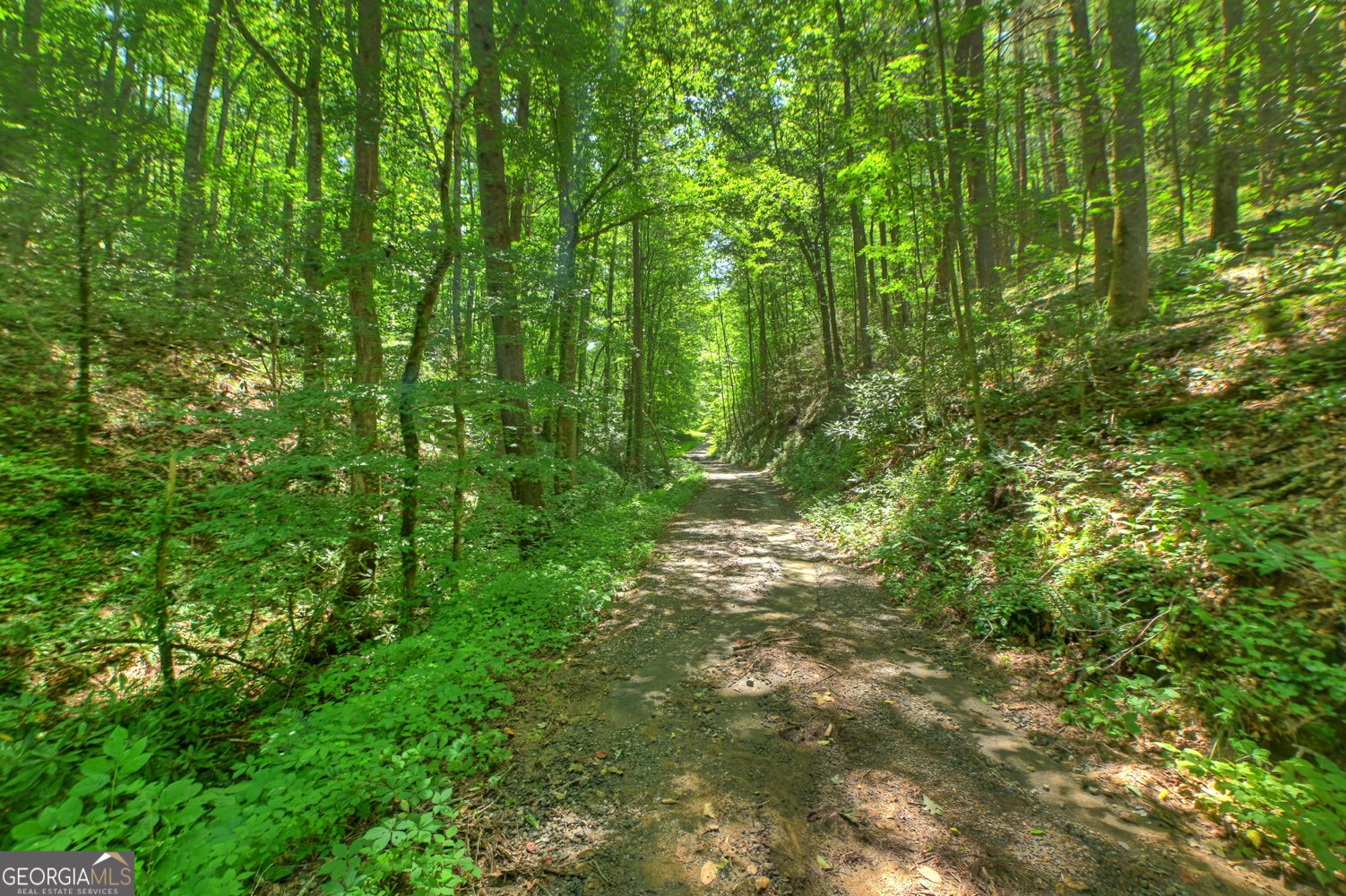 600 Conasauga Road Ellijay - Photo 59