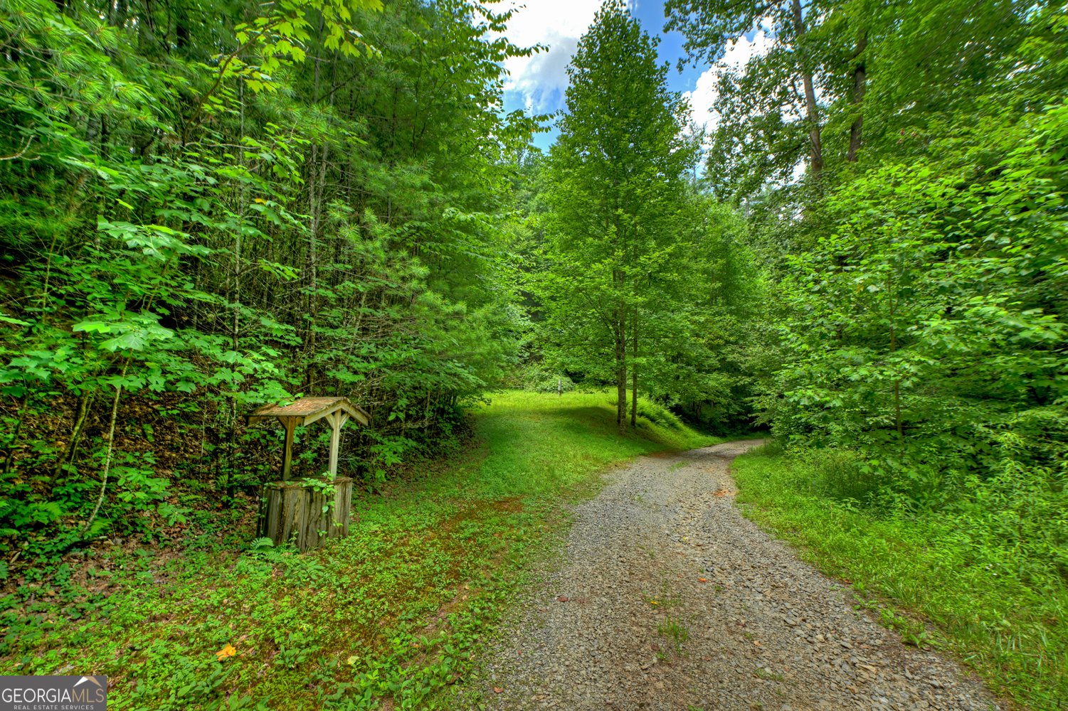 600 Conasauga Road Ellijay - Photo 60