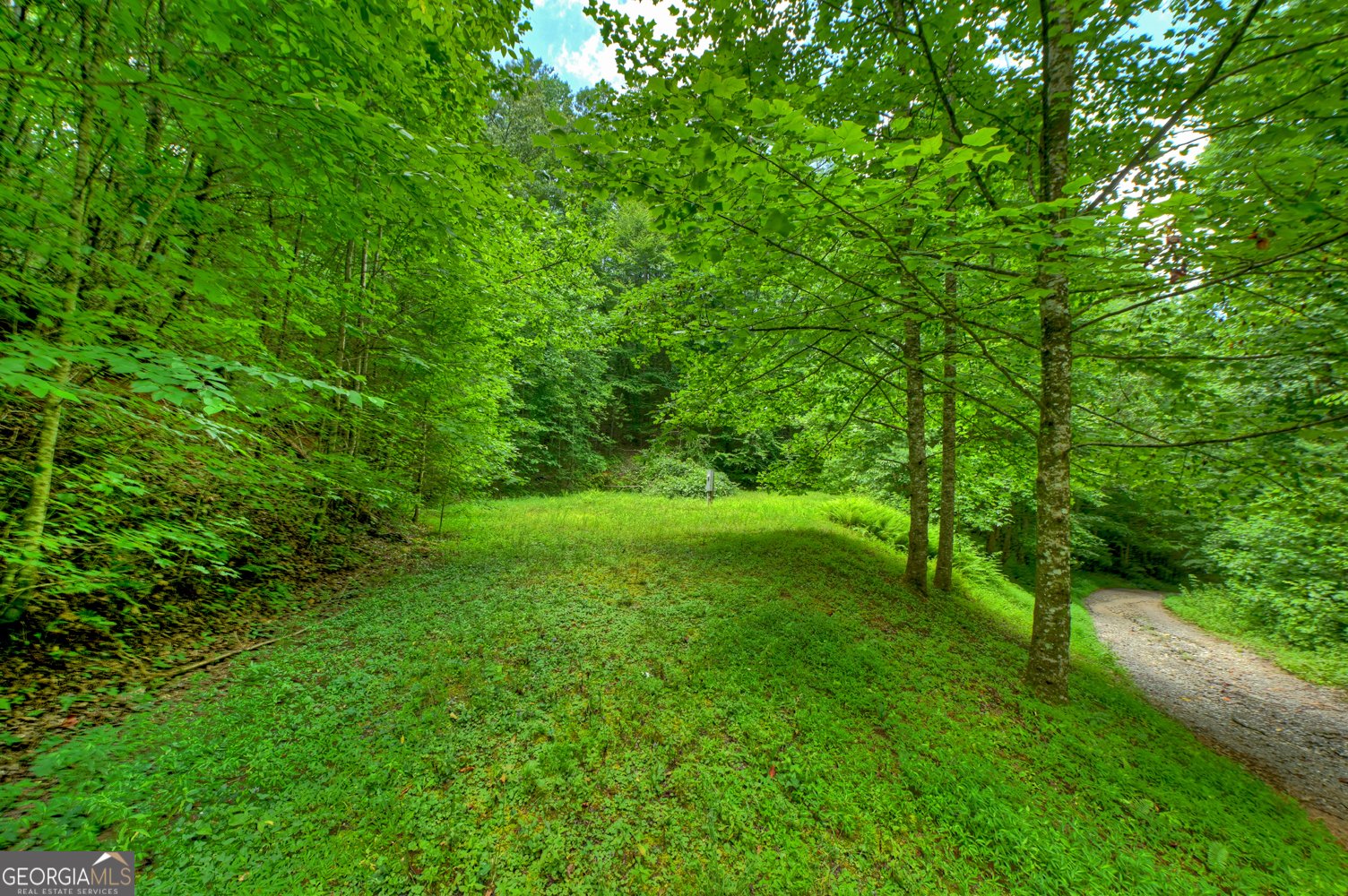600 Conasauga Road Ellijay - Photo 61