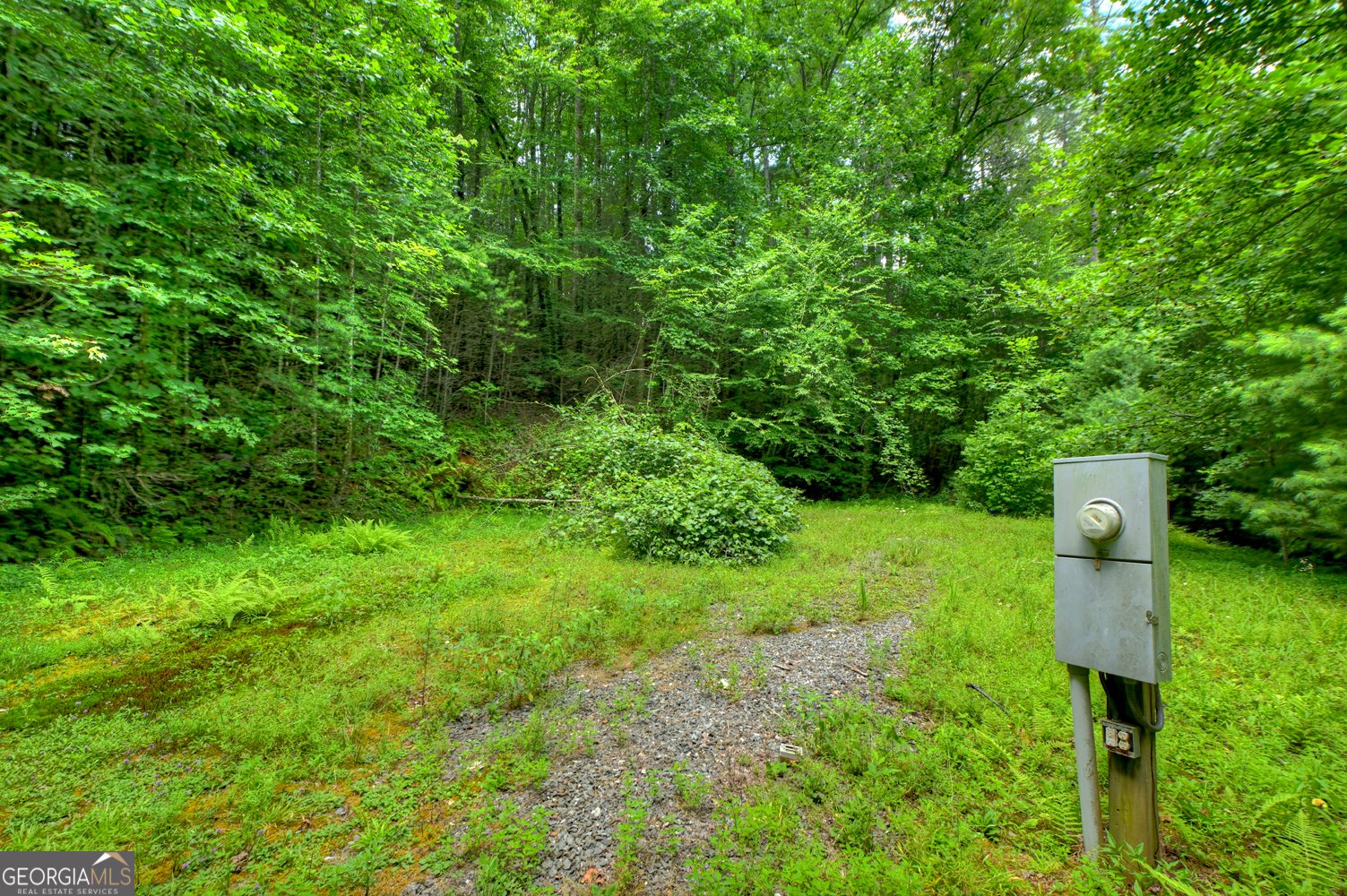 600 Conasauga Road Ellijay - Photo 62