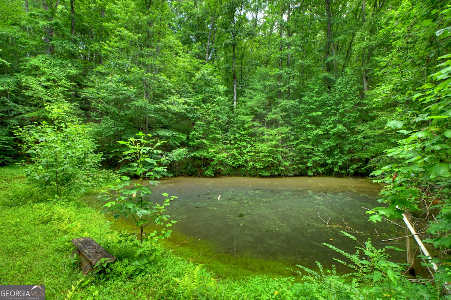 600 Conasauga Road Ellijay - Photo 63