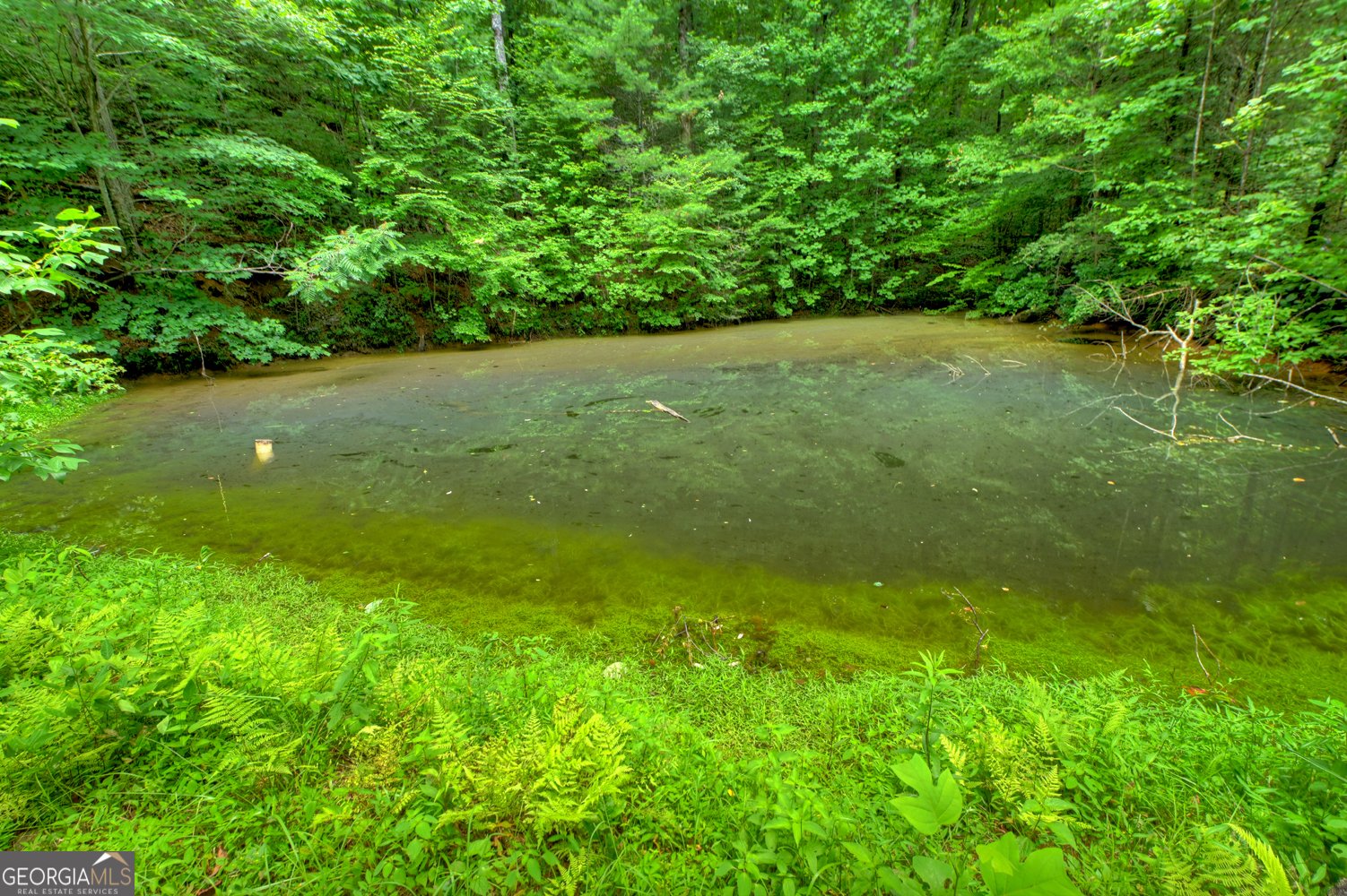 600 Conasauga Road Ellijay - Photo 64