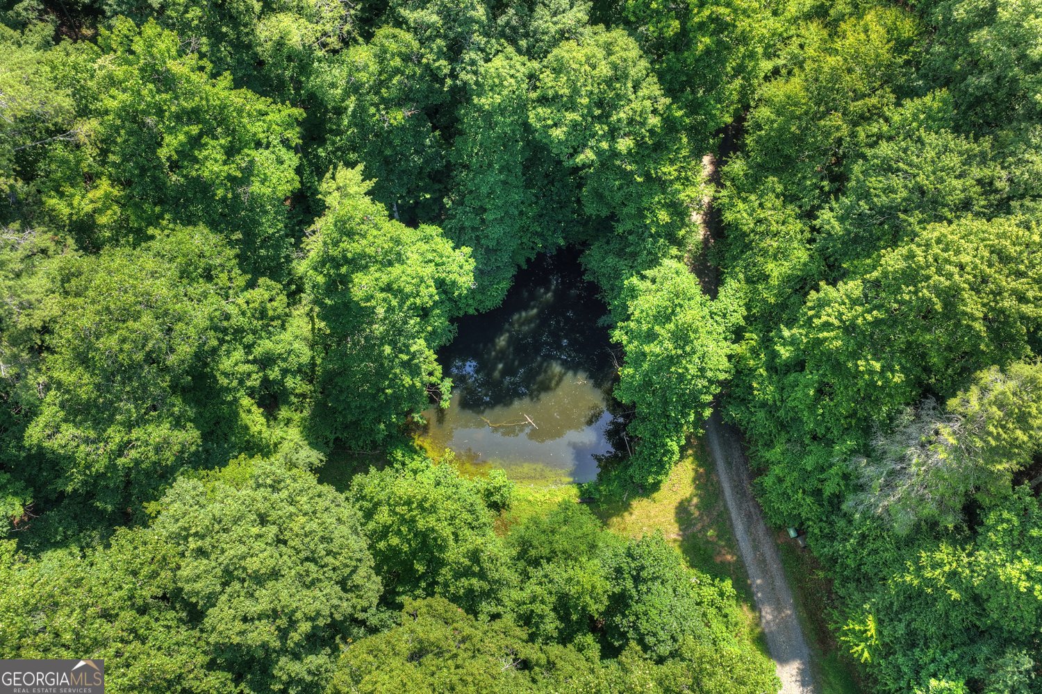 600 Conasauga Road Ellijay - Photo 65