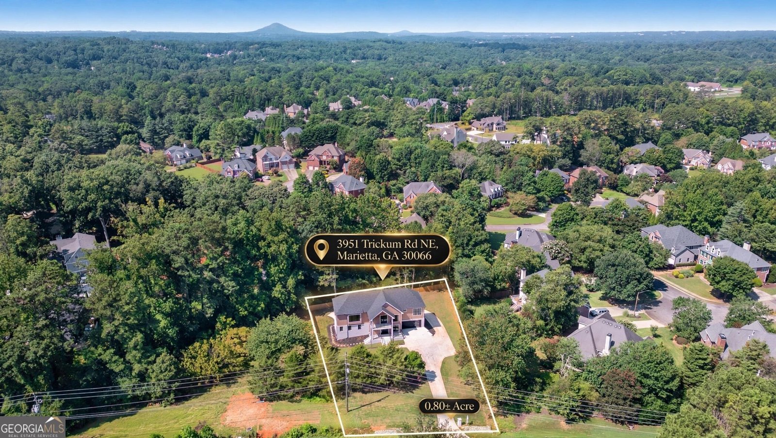3951 Trickum Road Marietta - Photo 67