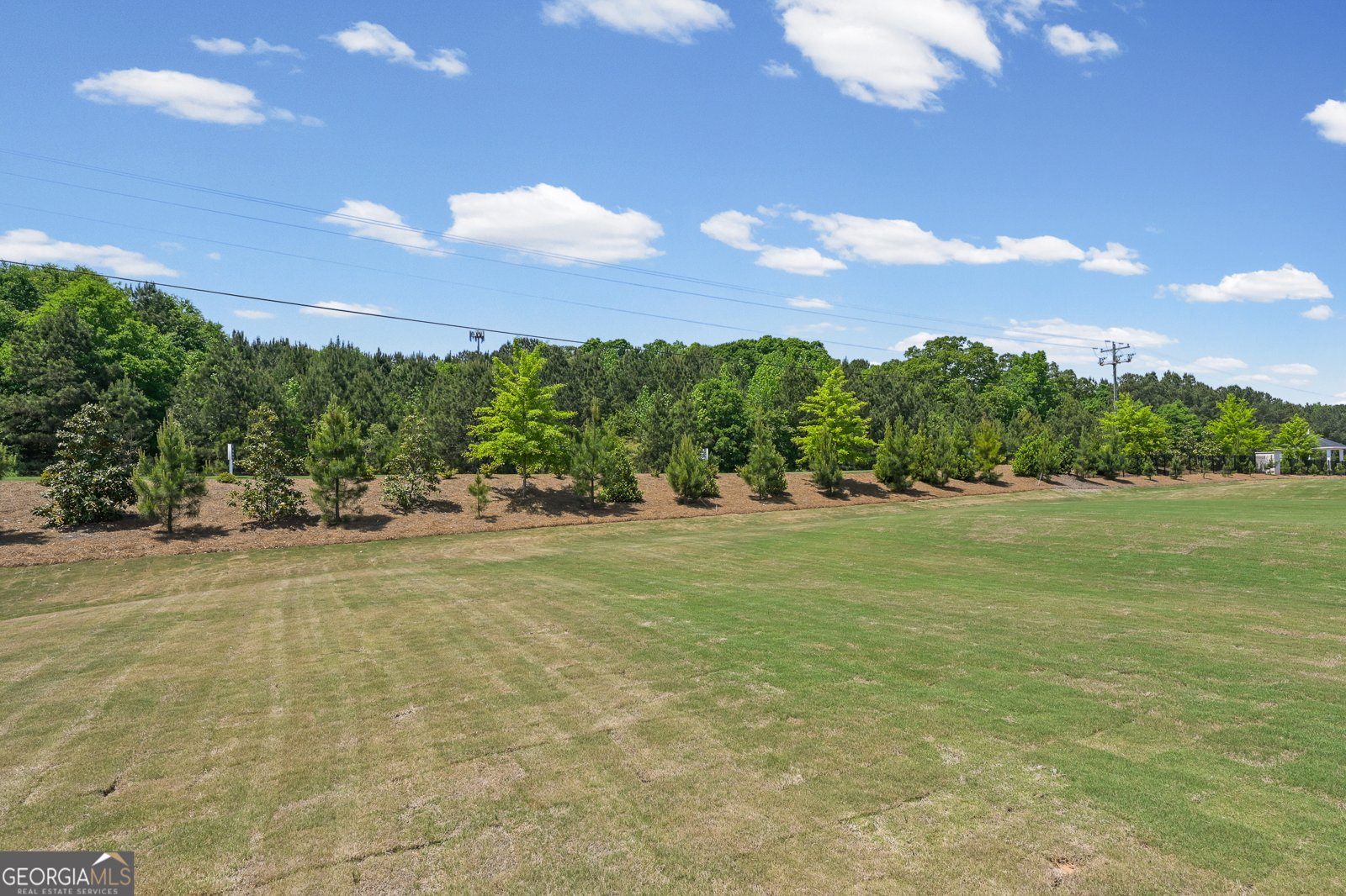 256 Nesta Grove Locust Grove - Photo 43